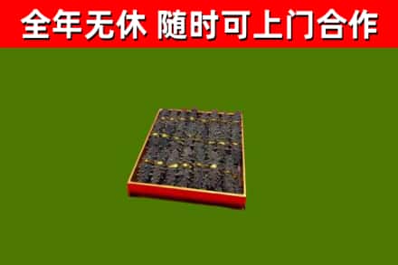 怀柔回收海参